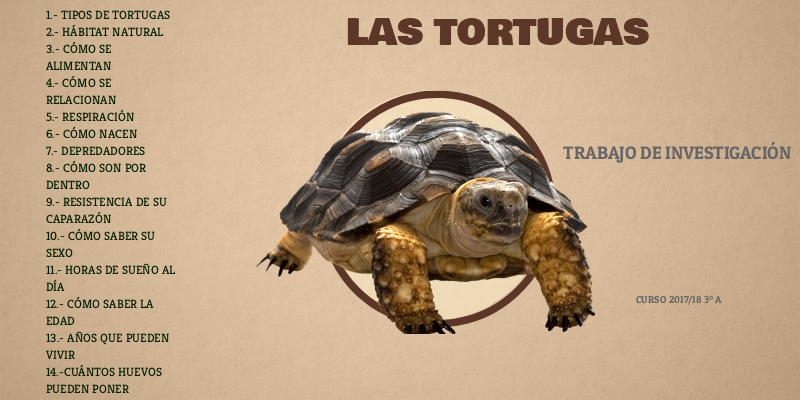 PROYECTO TORTUGAS | Genially