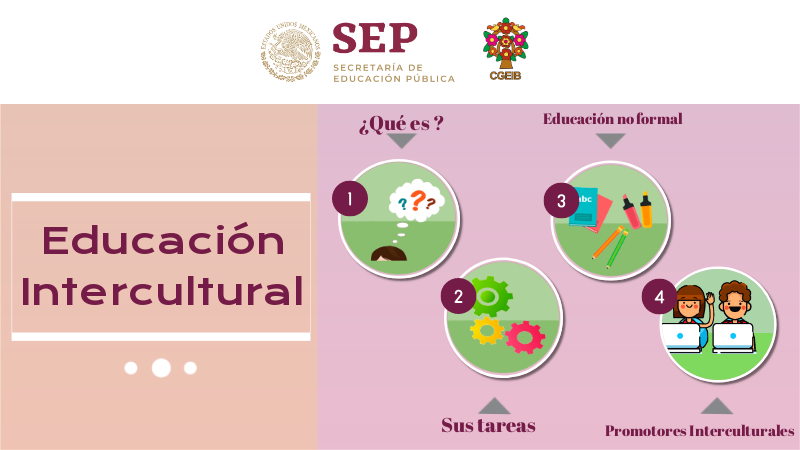 educación intercultural