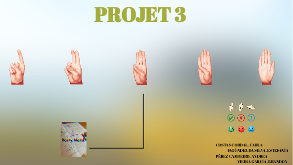 Projet 3