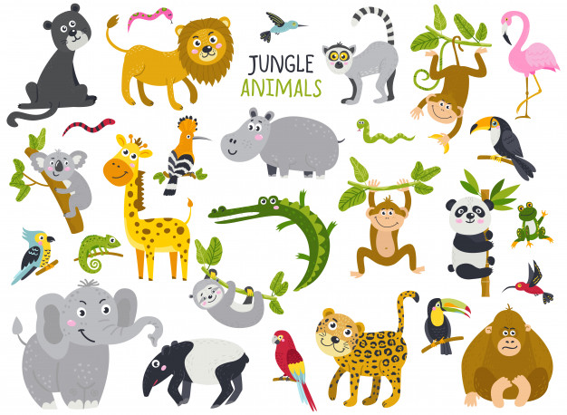 EXOTIC ANIMALS | Genially