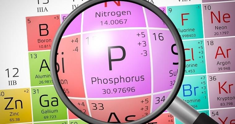 Budowa Chemiczna Organizmów Sprawdzian Liceum