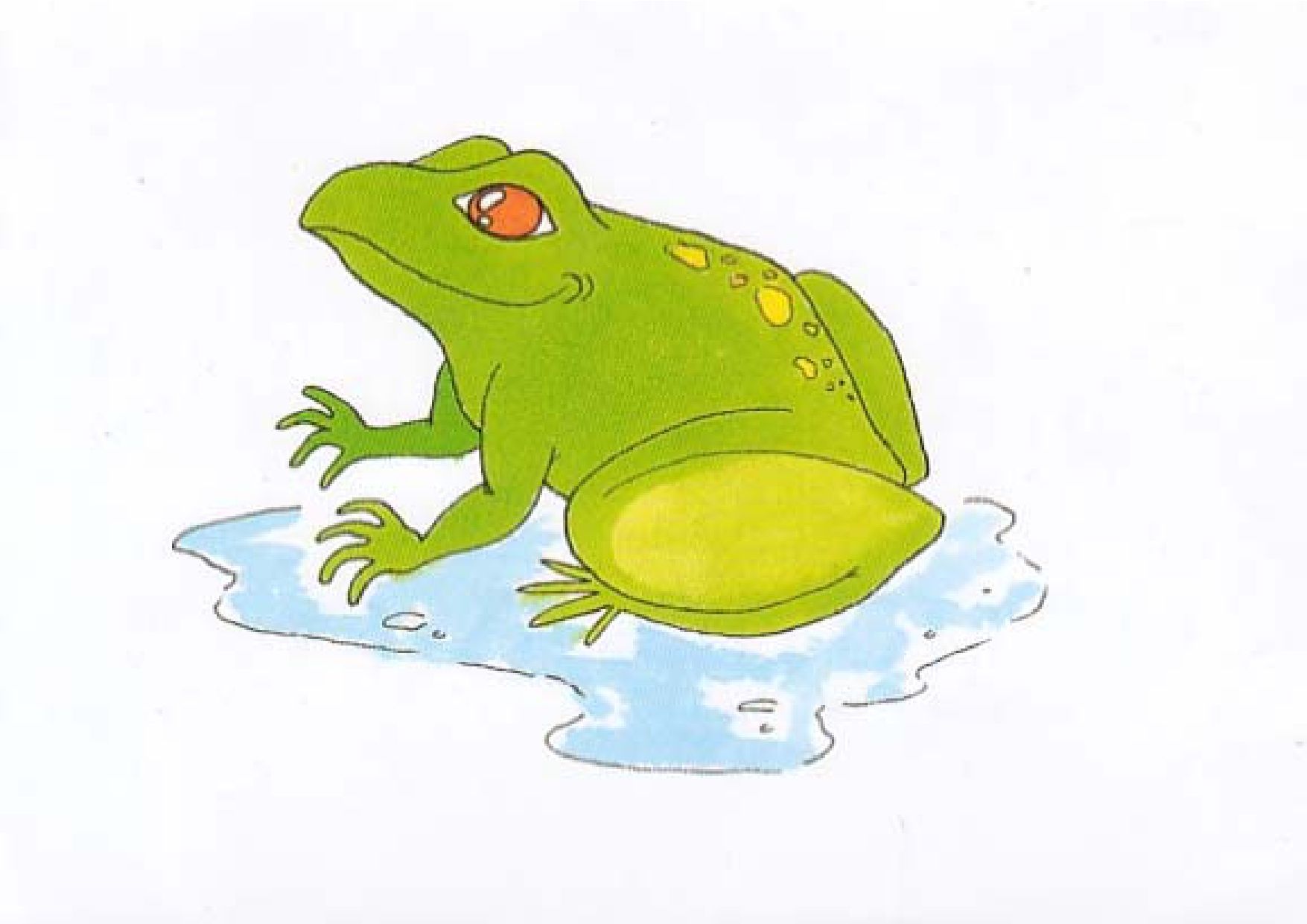 The Frog | Genially