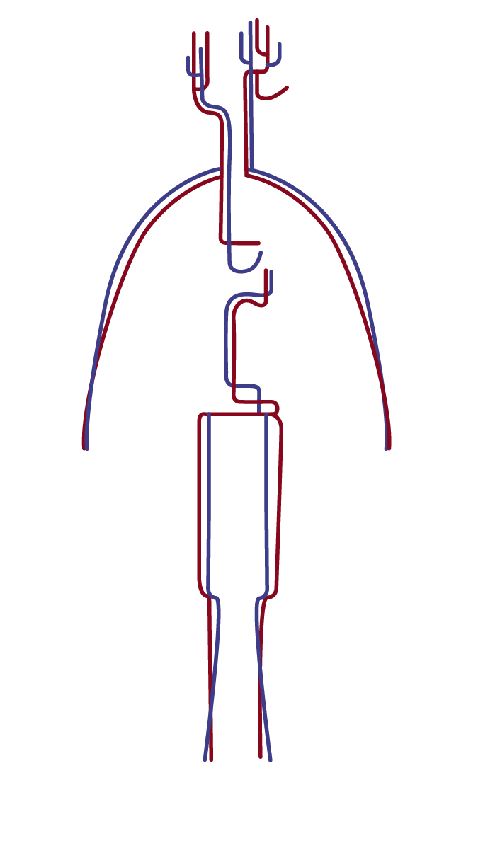ENFERMEDADES DEL CUERPO HUMANO | Genially